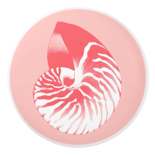 Nautilus snäcka - rosa av korall och vit knopp (Framsidan)