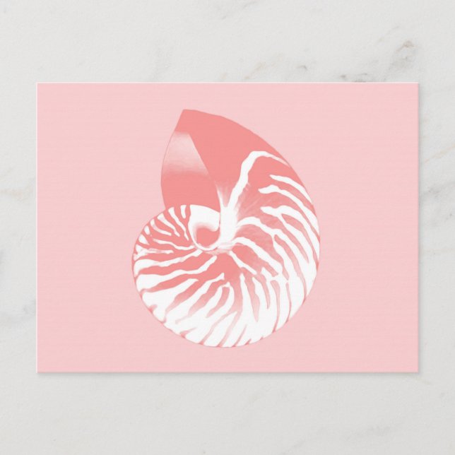 Nautilus snäcka - rosa av korall och vit vykort (Framsida)