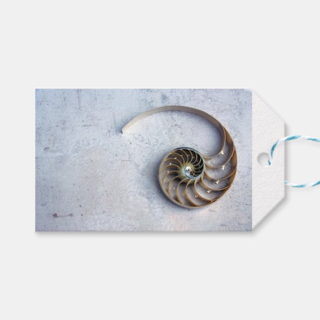 Nautilus snäcka säsonhell Fibonacci spiral märkre Presentetikett (Framsidan (Horisontell))