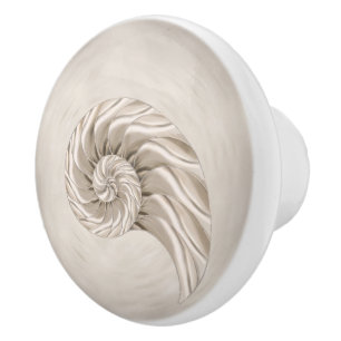 Nautilus Snäcka Teckning Knopp