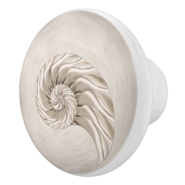 Nautilus Snäcka Teckning Knopp (Höger)