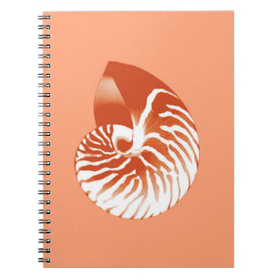Nautilus snäcka - terracotta och vit anteckningsbok med spiral