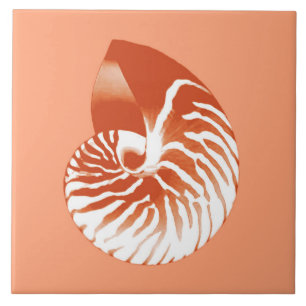 Nautilus snäcka - terracotta och vit kakelplatta