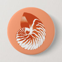 Nautilus snäcka - terracotta och vit