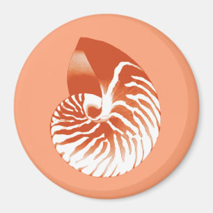 Nautilus snäcka - terracotta och vit magnet