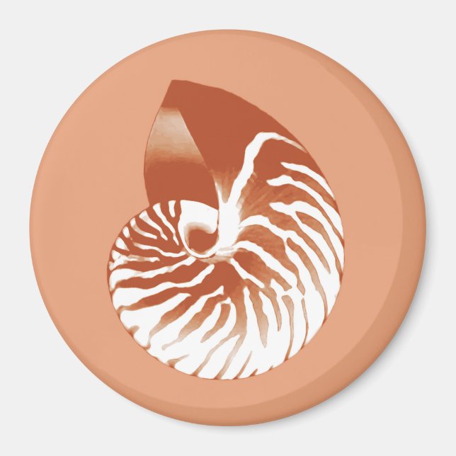 Nautilus snäcka - terracotta och vit magnet (Framsidan)
