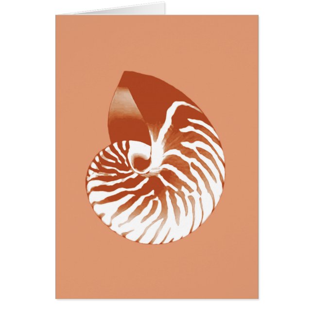 Nautilus snäcka - terracotta och vit OBS kort (Framsidan)