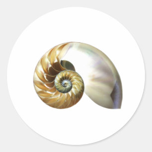 Nautilus-Snäckan Runt Klistermärke