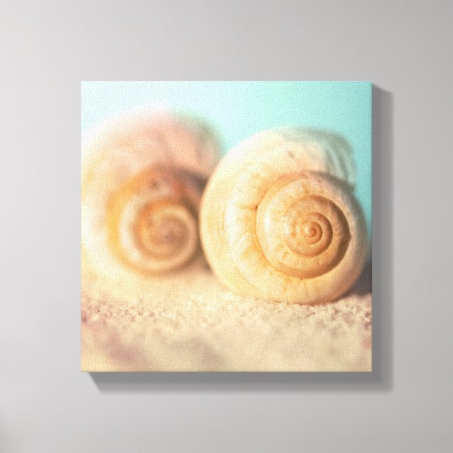 Nautilus Snäckor på Beach Canvastryck (Framsida)
