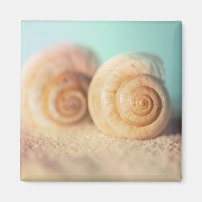Nautilus Snäckor på Beach Magnet (Framsidan)