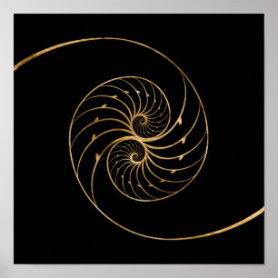 Nautilus Snäckors - Golden Pair Poster