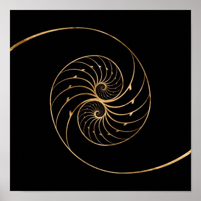 Nautilus Snäckors - Golden Pair Poster (Framsidan)