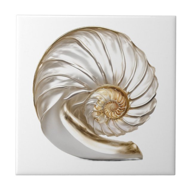 Nautilus snäckskal pärla 3D strand hav nautisk Kakelplatta (Framsidan)