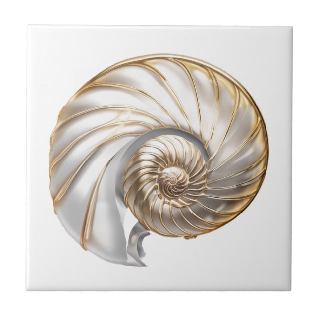 Nautilus snäckskal pärlglans 3D strand hav Kakelplatta (Framsidan)