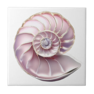 Nautilus snäckskal rosa 3D strand hav nautisk Kakelplatta