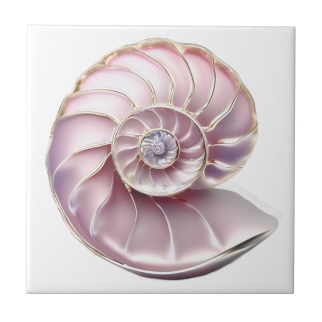 Nautilus snäckskal rosa 3D strand hav nautisk Kakelplatta (Framsidan)