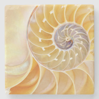 Nautilus snäckskal sandsten underlägg