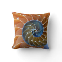 Nautilus Spiral