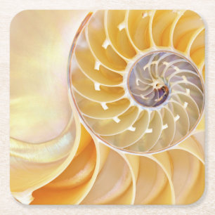 Nautilus Underlägg Papper Kvadrat