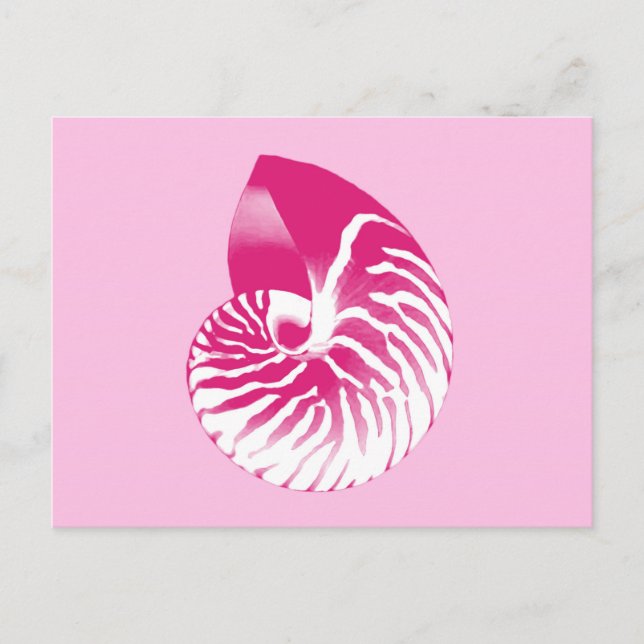 Nautilusskal - fuchsia rosa och vit vykort (Framsida)