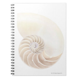 Nautilussnäcka Anteckningsbok