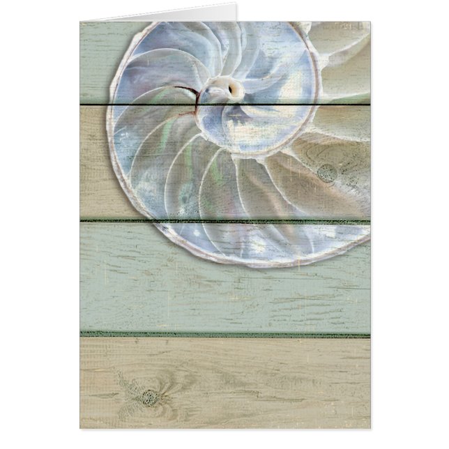 Nautilussnäcka Hälsningskort (Framsidan)
