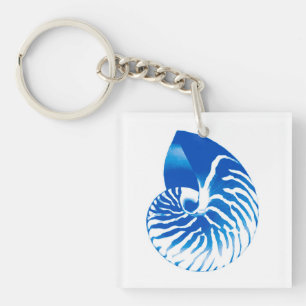 Nautilussnäcka - koboltblått och vit