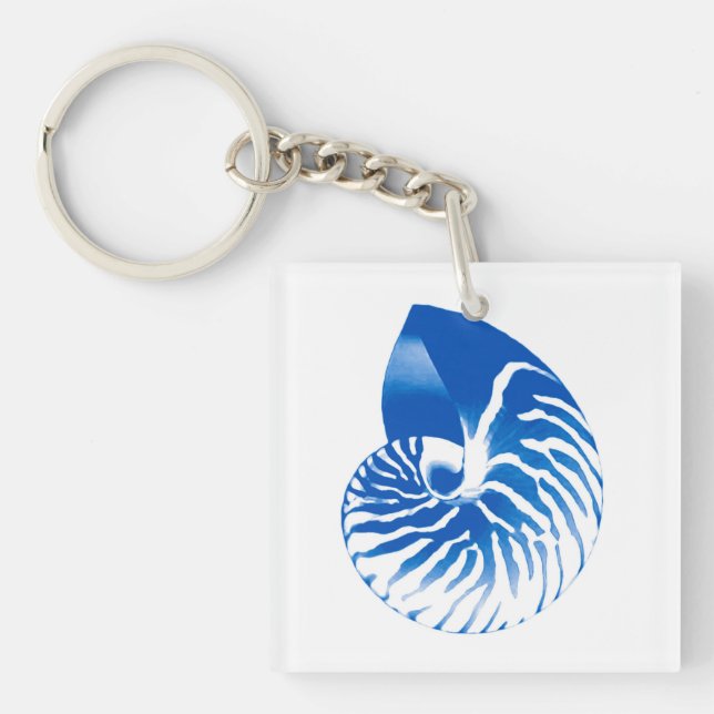 Nautilussnäcka - koboltblått och vit (Framsidan)