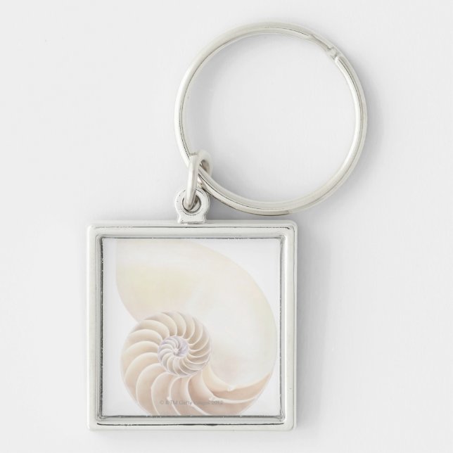 Nautilussnäcka, närbild fyrkantig silverfärgad nyckelring (Framsidan)