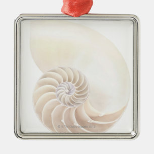 Nautilussnäcka, närbild julgransprydnad metall