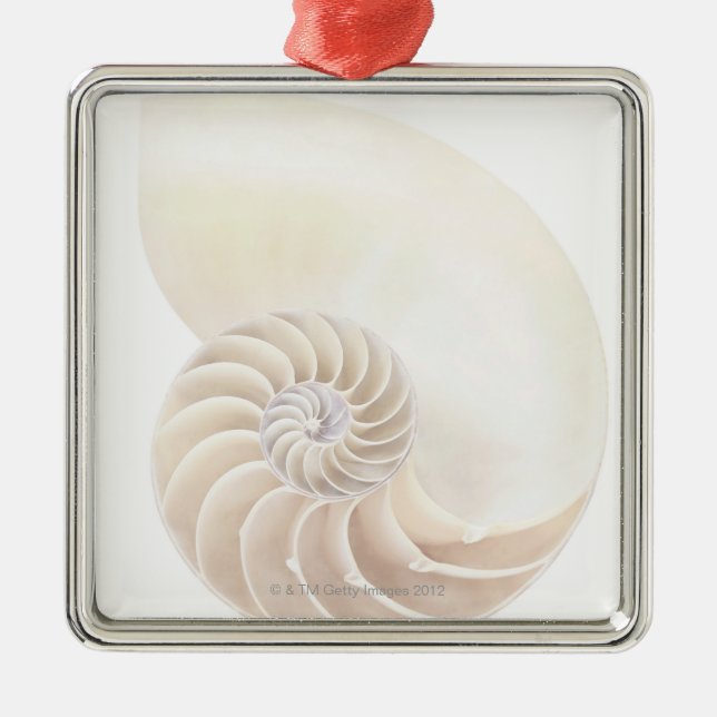 Nautilussnäcka, närbild julgransprydnad metall (Framsidan)