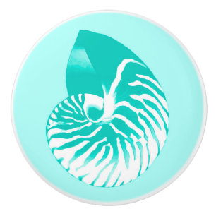 Nautilussnäcka - turkos, aqua och vit knopp