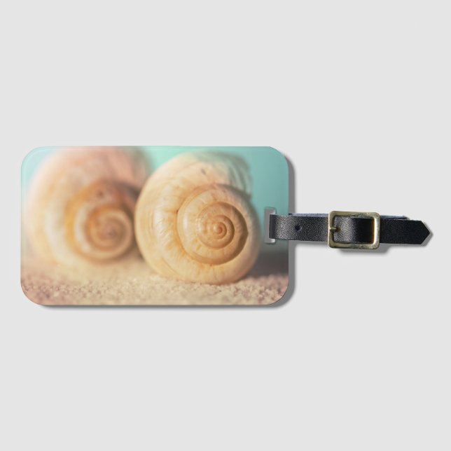 Nautilussnäckor på strand bagagebricka (Framsida horisontal)