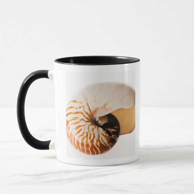 Nautilussnäckskal (Nautilusstenomphalusen) Mugg (Vänster)