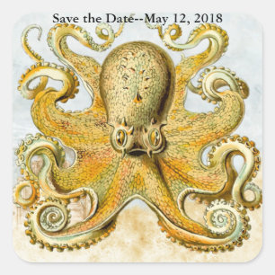 Nautisk Octopus Kraken Squid Spara datumet Fyrkantigt Klistermärke