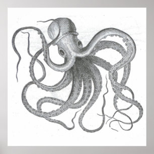 Nautisk steampunkbläckfiskvintage kraken poster