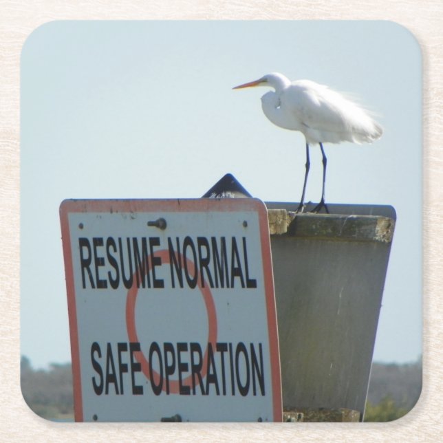 Nautiskt underteckna underlägg (Framsidan)