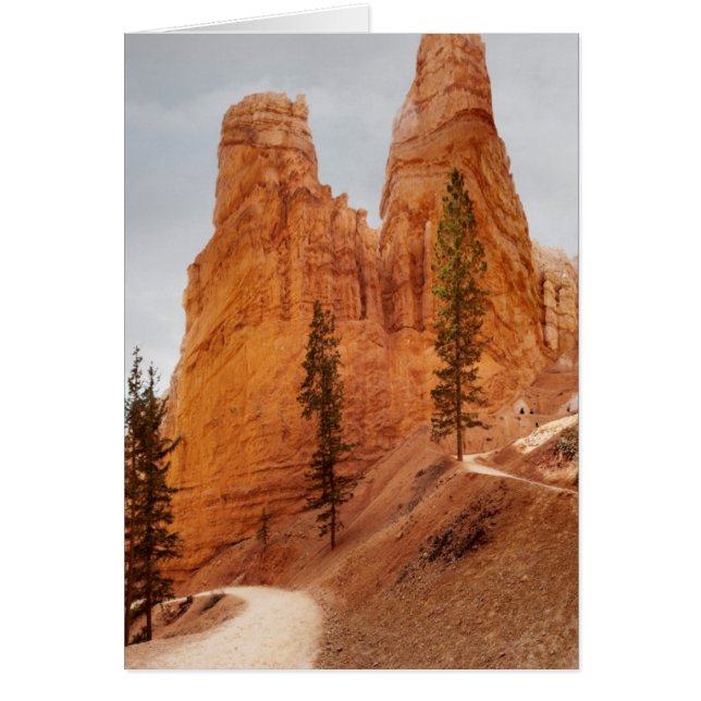 Navajo Loop Trail, Bryce Canyon Hälsningskort (Framsidan)