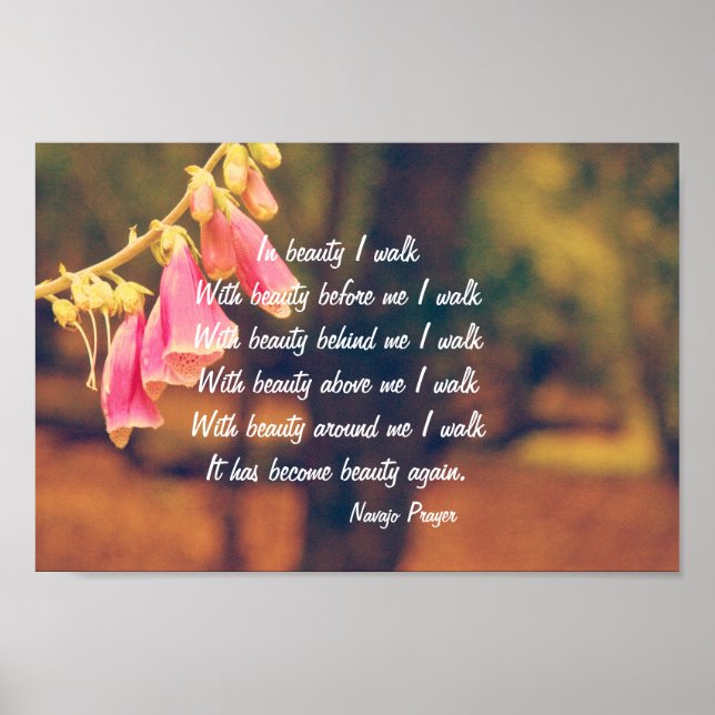 Navajo Prayer Walk i Beauty Poster (Framsidan)
