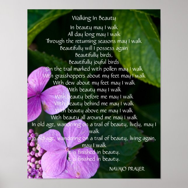 Navajo Prayer Walk i Beauty Poster (Framsidan)