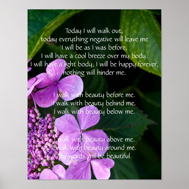 Navajo Prayer Walk i Beauty Poster (Framsidan)