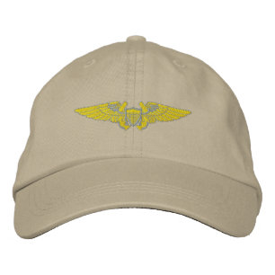 Naval Flight Officer Broderad Keps