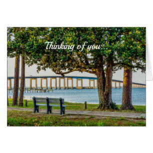 Navarre Park Bench och Bridge Thinking Card OBS Kort