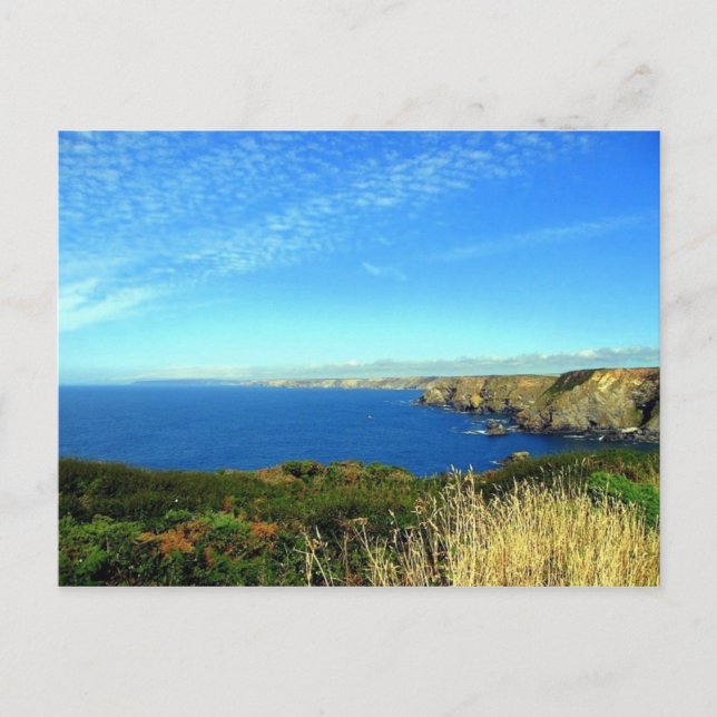 Navax Point, Cornwall UK Postcard Vykort (Framsida)