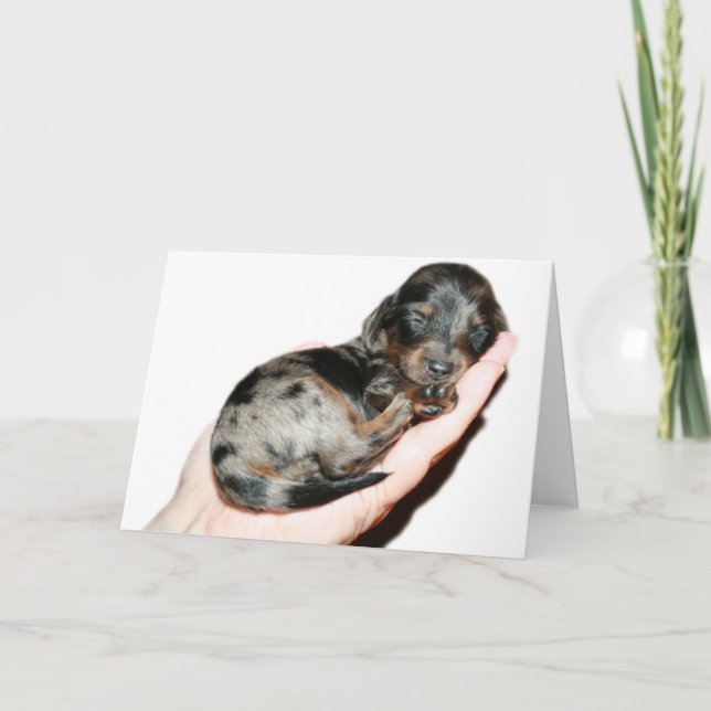 Näve Kort (Framsida)