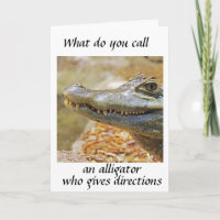 *NAVIGATOR ALLIGATOR * FÖR BIRTHDAG