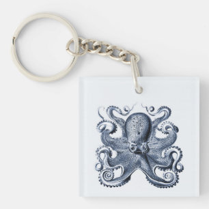 Navy Blue Octopus illustration av Ernst Haeckel