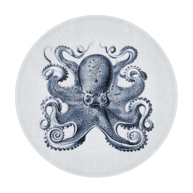 Navy Blue Octopus illustration av Ernst Haeckel (Framsidan)