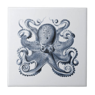 Navy Blue Octopus illustration av Ernst Haeckel Kakelplatta