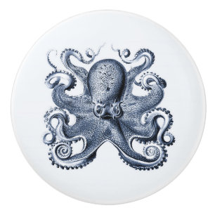 Navy Blue Octopus illustration av Ernst Haeckel Knopp